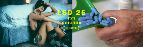 PSILOCYBIN Бугульма